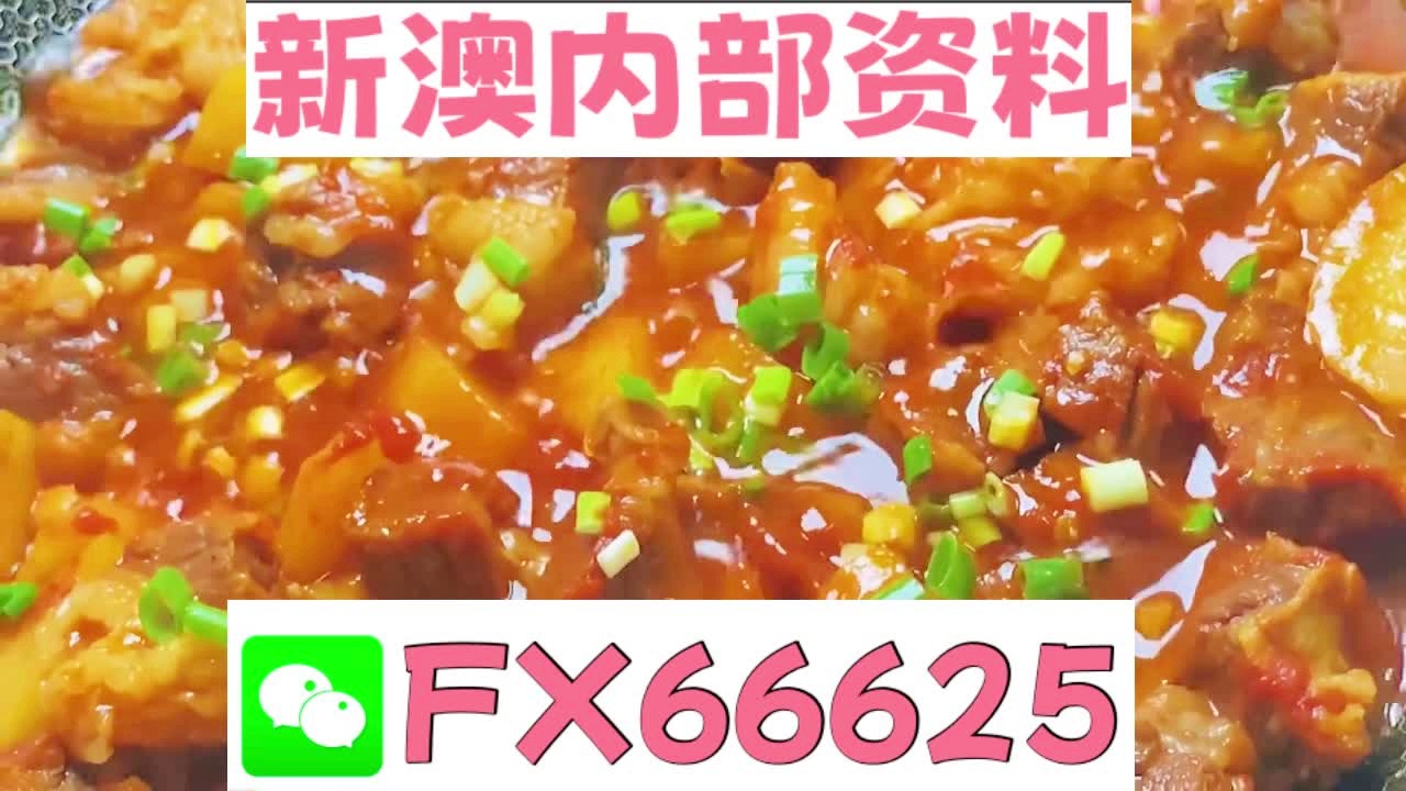 新奧2025最新資料大全概覽與深度解析，新奧2025資料概覽與深度解析