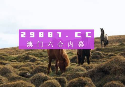 澳門今晚開獎(jiǎng)什么，探索彩票背后的秘密與策略，澳門彩票開獎(jiǎng)探索，秘密與策略揭秘