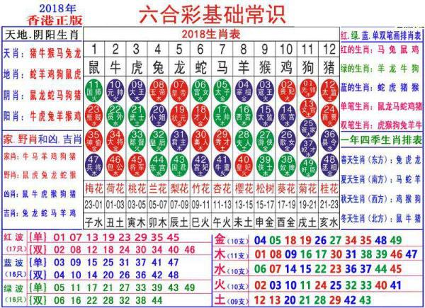 探索未來(lái)的奧秘，2025新澳門生肖卡，揭秘未來(lái)奧秘，2025新澳門生肖卡探秘