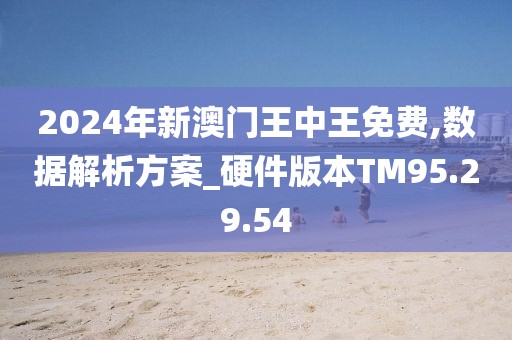 揭秘未來之星，2025新澳王中王，揭秘未來之星，2025新澳王中王風采展示