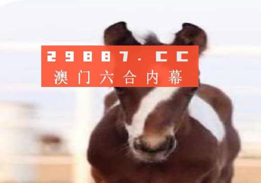 澳門(mén)一肖一碼一待一中資料，深度解析與探索，澳門(mén)一肖一碼深度解析與探索揭秘資料