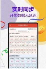 管家婆204年資料解析，一肖配成龍，管家婆204年資料解析揭秘，一肖配成龍獨家解析