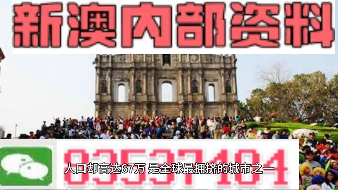 新澳門資料大全費(fèi)新觸最，探索與解析，澳門最新資料解析與探索指南