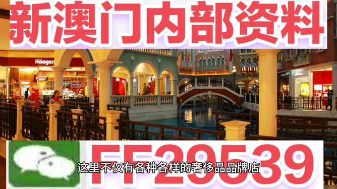 澳門未來展望，2025年的澳門展望，澳門未來展望，展望2025年澳門發(fā)展藍(lán)圖