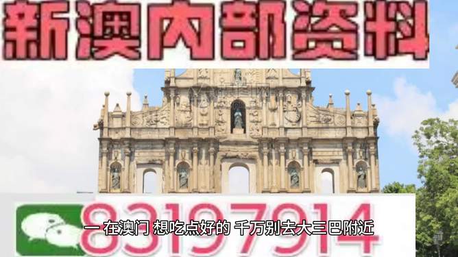澳門馬正版芳草地資料，探索與解析，澳門馬正版芳草地資料探索與解析指南