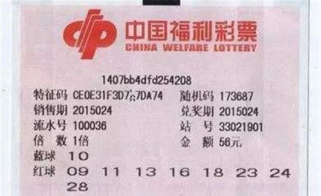 預測報告