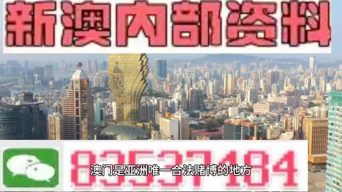 澳門精準(zhǔn)免費(fèi)資料大全，探索與揭秘，澳門精準(zhǔn)免費(fèi)資料大全，揭秘與探索之旅