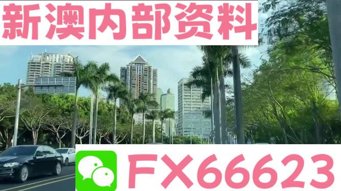 新澳精準(zhǔn)資料免費(fèi)提供，探索與解析，新澳精準(zhǔn)資料解析與探索，免費(fèi)提供的深度解讀