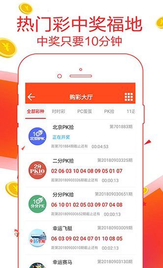 王中王一肖論，深度探索與SEO優(yōu)化策略，王中王一肖論，深度探索與SEO優(yōu)化策略詳解
