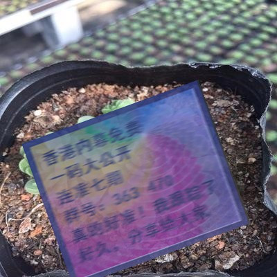 關(guān)于三肖賠多少錢的全面解析，三肖賠款金額全面解析