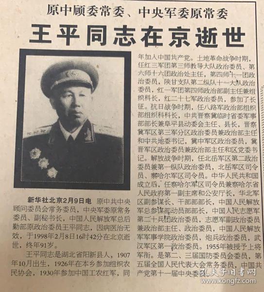 王王中王平特一肖，深度解析與SEO優(yōu)化策略，王王中王平特一肖深度解析與SEO優(yōu)化策略探討