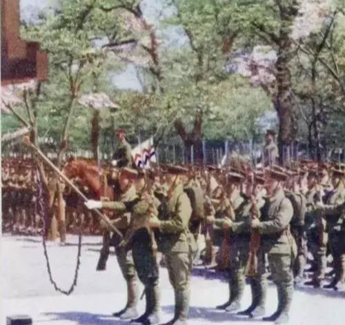 中國(guó)陸軍軍旗，歷史、意義與優(yōu)化SEO策略，中國(guó)陸軍軍旗，歷史意義與SEO策略優(yōu)化探討