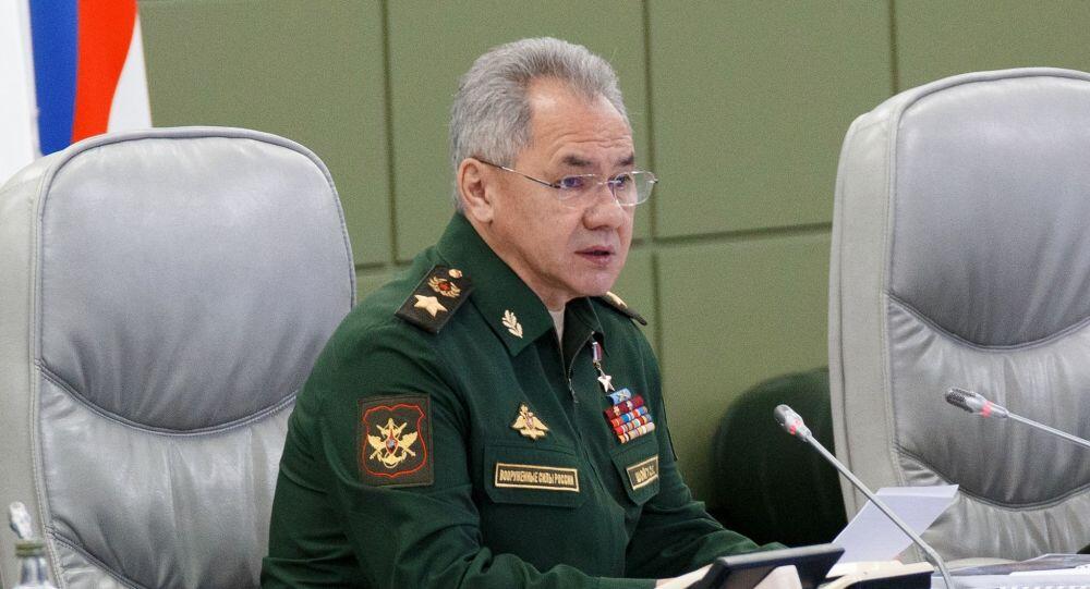 俄防長提議擴(kuò)軍，背景、意義與影響，俄防長擴(kuò)軍提議，背景分析、意義及影響探討