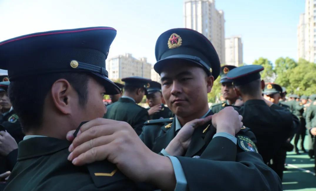 關(guān)于大學(xué)生入伍政策的深度解讀，2020年最新動(dòng)態(tài)與趨勢分析，深度解讀大學(xué)生入伍政策，最新動(dòng)態(tài)與趨勢分析（2020年）
