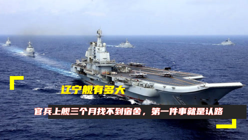 遼寧艦尺寸詳解，中國海軍巨艦的雄偉與力量，遼寧艦尺寸揭秘，中國海軍巨艦的雄偉與力量展現(xiàn)