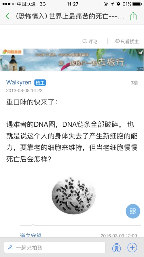 國(guó)際觀察天涯論壇與天涯社區(qū)，網(wǎng)絡(luò)輿論的聚焦之地，天涯論壇與天涯社區(qū)，國(guó)際網(wǎng)絡(luò)輿論聚焦之地