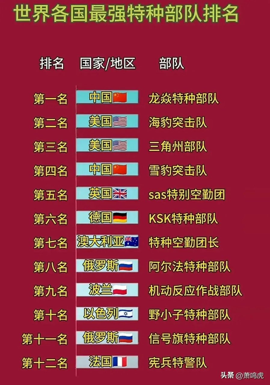 中國(guó)最強(qiáng)特種部隊(duì)第一名是誰(shuí)？深度解析中國(guó)特種部隊(duì)領(lǐng)軍力量，深度解析，中國(guó)最強(qiáng)特種部隊(duì)領(lǐng)軍力量，究竟誰(shuí)是第一名？