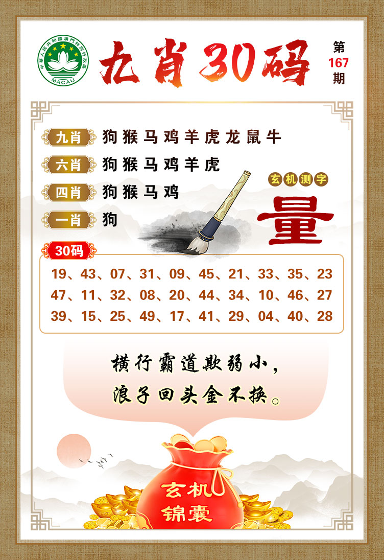 王中王019指一生肖——深度解析與探索，王中王019生肖揭秘，深度解析與探索之旅