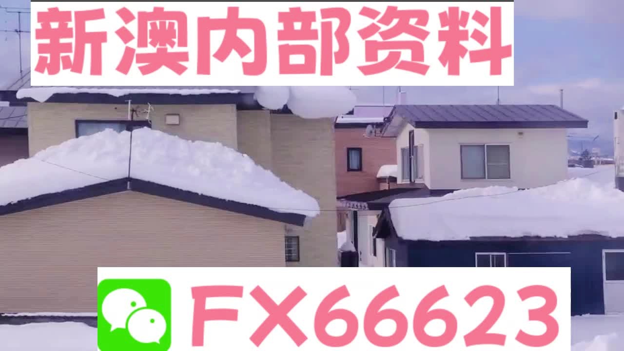 新奧天天精準(zhǔn)資料大全，全方位解讀與SEO優(yōu)化策略，新奧天天精準(zhǔn)資料大全，全方位解讀與SEO優(yōu)化策略指南
