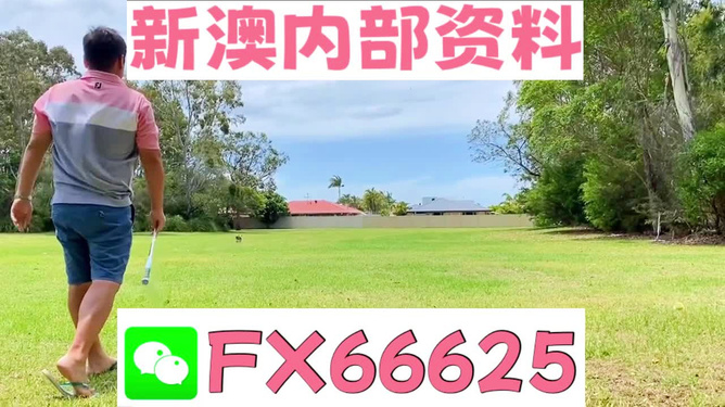 王中王馬報(bào)網(wǎng)站——揭秘必中一肖的奧秘，王中王馬報(bào)網(wǎng)站揭秘，必中一肖的奧秘大揭秘