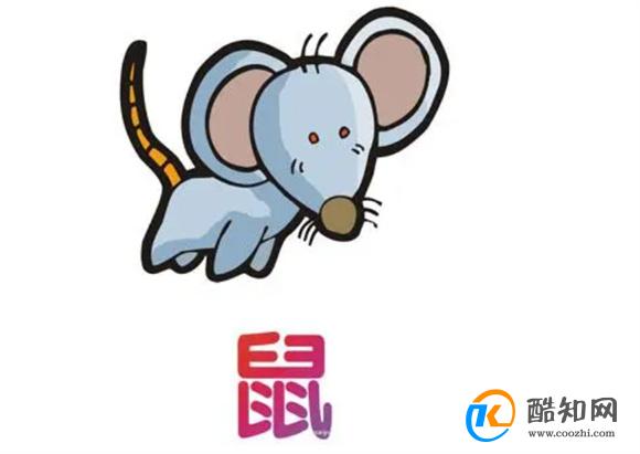澳門老鼠報(bào)一肖一碼，揭秘背后的秘密與真相探索，澳門老鼠報(bào)一肖一碼揭秘背后的秘密與真相揭秘探索
