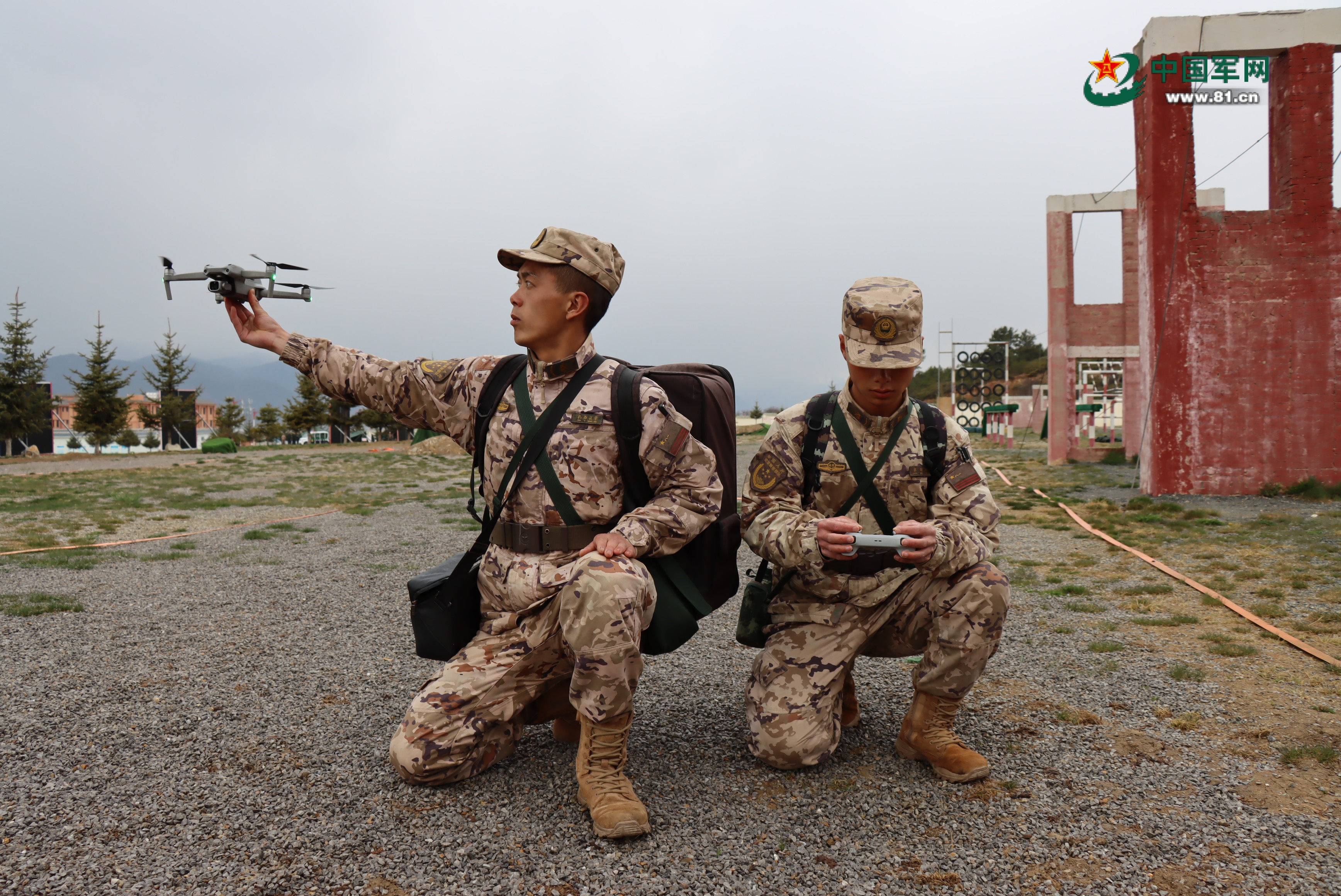 關(guān)于武警機(jī)動(dòng)師改總隊(duì)后的去向解析——探尋新的使命與職責(zé)，武警機(jī)動(dòng)師改總隊(duì)后的使命與職責(zé)解析，探尋新的方向與未來(lái)