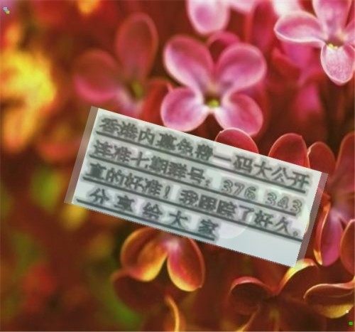 揭秘王中王六肖必中一肖的秘密策略，揭秘王中王六肖必中一肖的獨家策略
