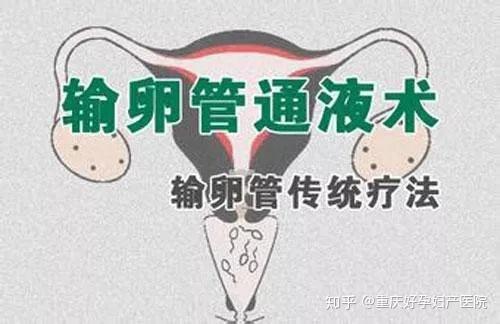 輸卵管堵塞自查方法，了解、預(yù)防與自我檢測(cè)，輸卵管堵塞的自我檢查與預(yù)防方法指南