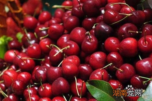 車厘子的功效與作用，揭示紅色小果的驚人健康益處，車厘子的驚人健康益處，紅色小果的神奇功效與作用揭秘