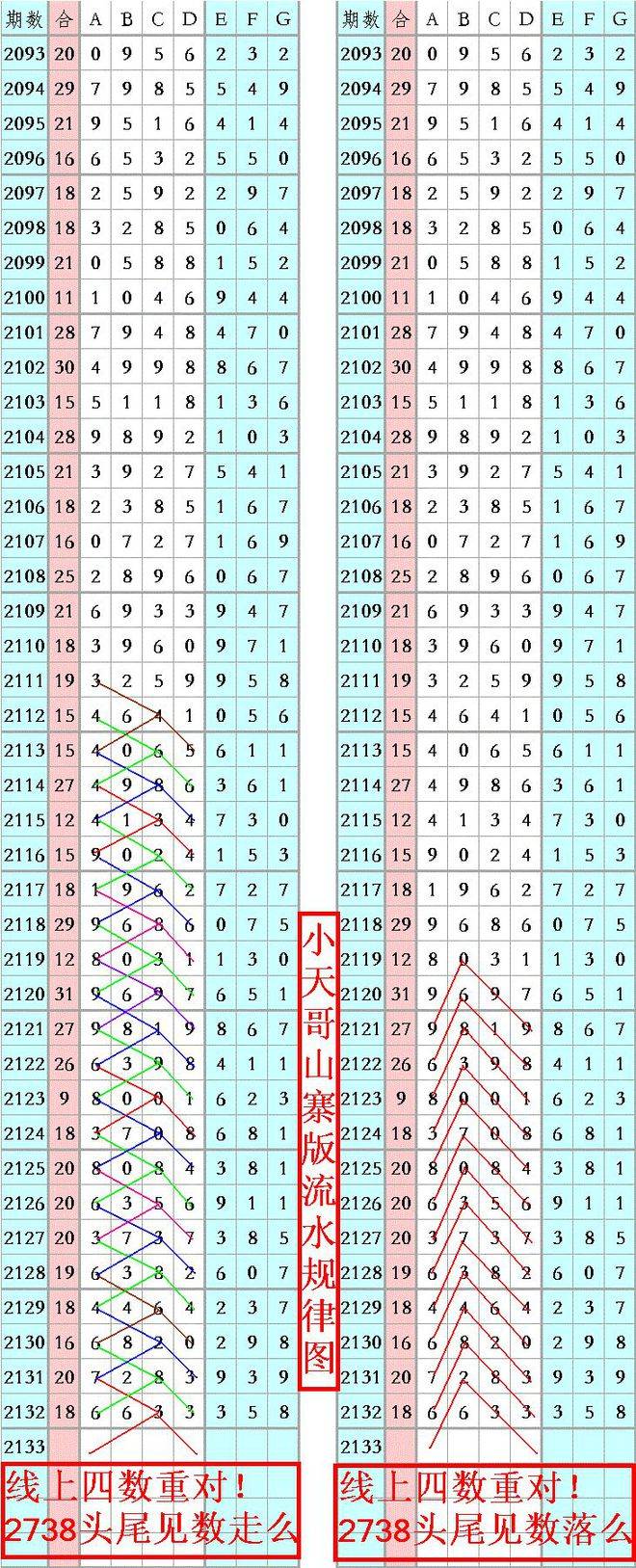 王中王資料一肖正特馬，深度解析與探索，王中王資料一肖正特馬深度解析與探索揭秘