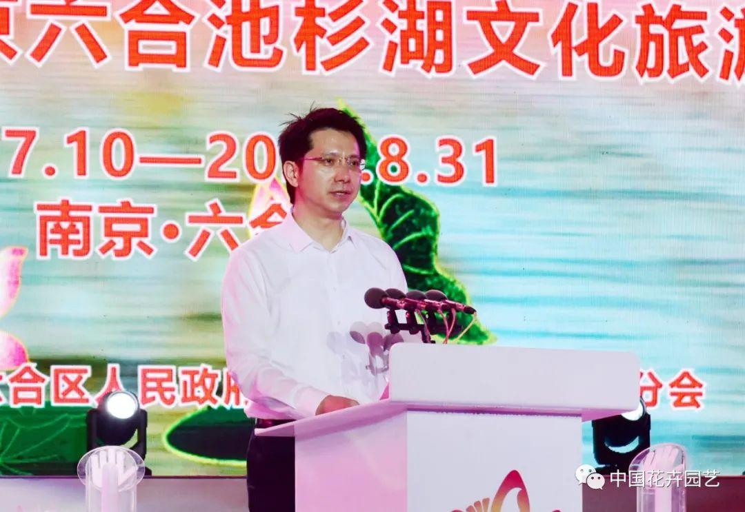 深度解析與探討