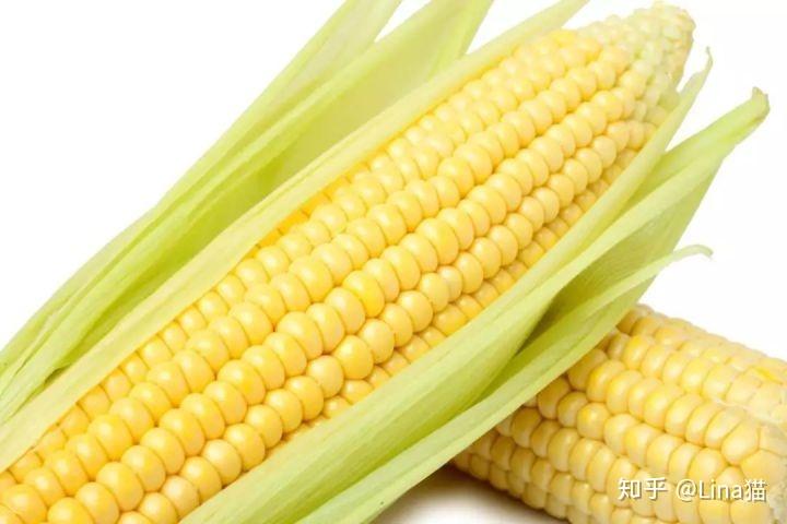 玉米的功效與作用，全面解析其健康益處，玉米的健康益處全面解析，功效與作用一覽