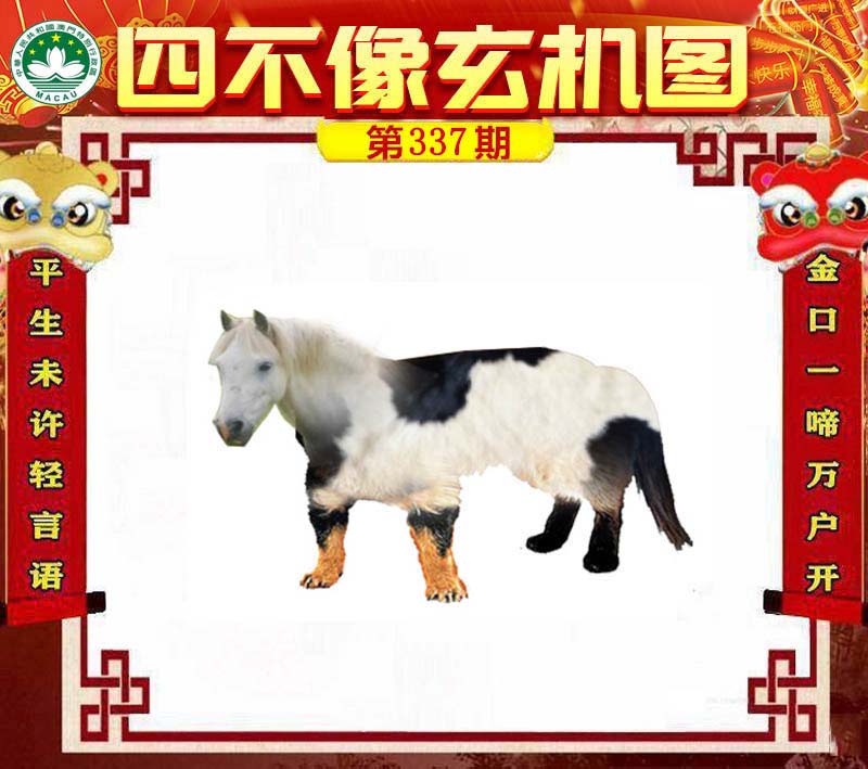 澳門一肖一碼一待一中四不像——揭秘與探索，澳門神秘一肖一碼，揭秘與探索一待一中四不像的秘密