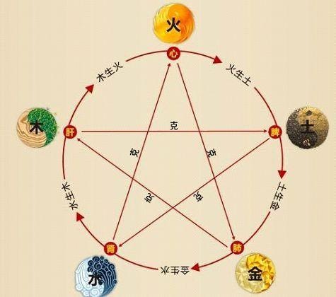 鐵算算盤4887最準(zhǔn)資料，揭秘精準(zhǔn)算盤的秘密，揭秘鐵算算盤4887，精準(zhǔn)預(yù)測的秘密資料分享