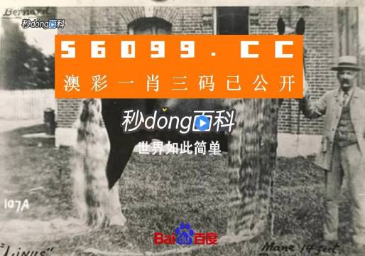 澳門王中王心水王中王，解析其背后的奧秘與吸引力，澳門王中王心水奧秘與吸引力的解析