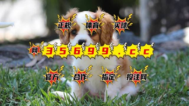 澳門六肖中特馬