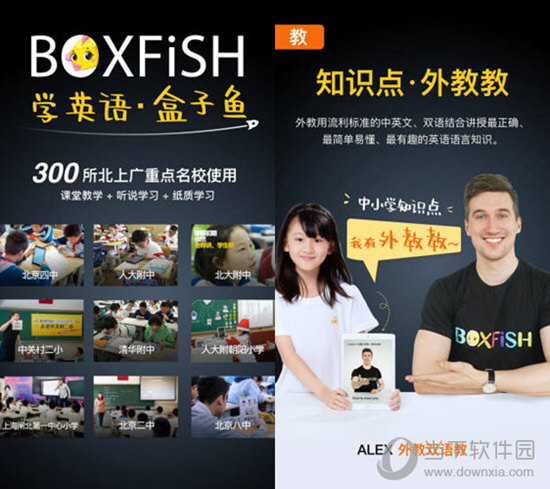 管家婆必出一中一特圖片，揭秘背后的故事與吸引力，揭秘管家婆必出一中一特圖片背后的故事與魅力所在