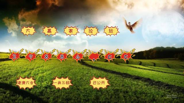 澳門(mén)彩之www.04812com探索與體驗(yàn)，澳門(mén)彩之www.04812com，探索與沉浸式體驗(yàn)