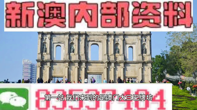 新澳2025全年正版資料全面解析與SEO優(yōu)化策略，新澳2025全年正版資料深度解析與SEO優(yōu)化攻略