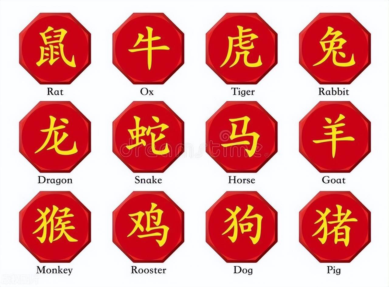 新澳特碼，羊?；⒏鲾?shù)10——揭秘獨特編碼體系與生肖魅力，新澳特碼生肖編碼體系揭秘，羊?；⒏鲾?shù)10的魅力