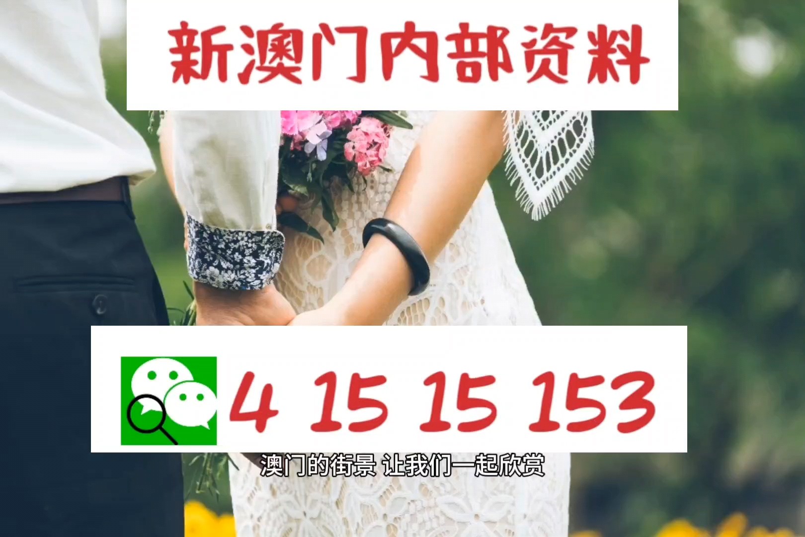 澳門九龍圖庫2025年104期預測——深度分析與展望，澳門九龍圖庫2025年104期預測，深度分析與展望未來