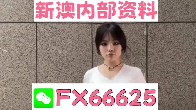 4887正版資料大全——您不可或缺的權(quán)威資源指南，4887正版資料大全，權(quán)威資源指南