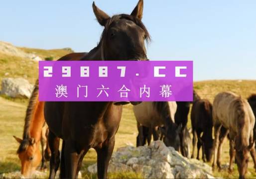 澳門管家婆一肖碼精準預(yù)測，揭秘平特一肖的秘密技巧，澳門管家婆精準預(yù)測一肖碼，揭秘平特一肖的秘密技巧與策略
