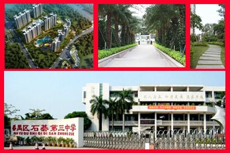 內(nèi)部資料三碼中特，揭秘其重要性及如何優(yōu)化SEO策略，揭秘內(nèi)部資料三碼中特，重要性及SEO策略優(yōu)化指南