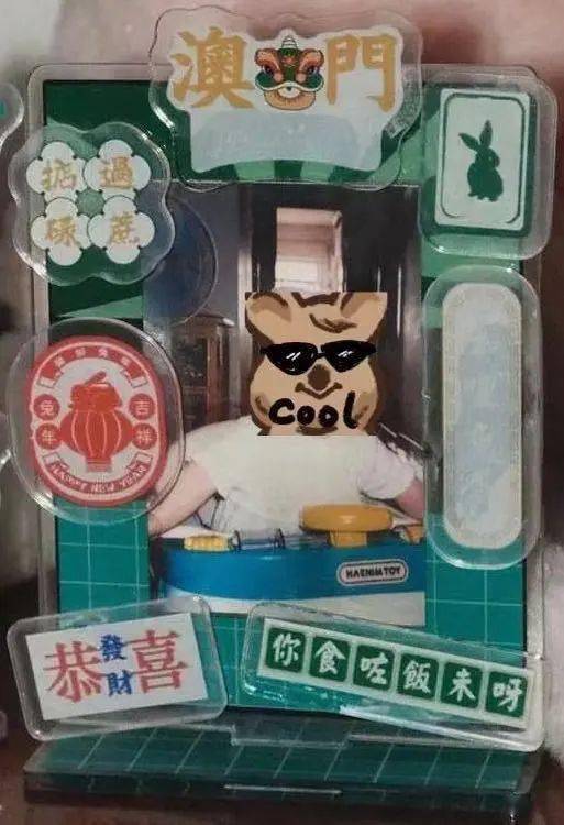 澳門(mén)六開(kāi)彩開(kāi)獎(jiǎng)結(jié)果 2024年最新回顧與分析，澳門(mén)六開(kāi)彩開(kāi)獎(jiǎng)結(jié)果回顧與分析，2024年最新趨勢(shì)展望