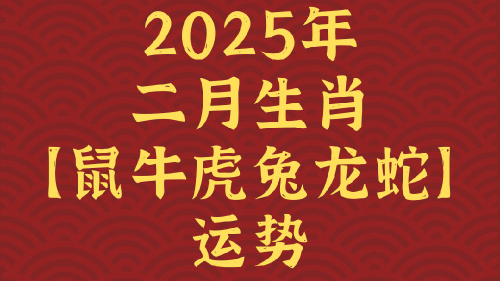 老鼠報網(wǎng)二肖①碼，揭秘背后的故事與SEO優(yōu)化策略，揭秘老鼠報網(wǎng)二肖碼背后的故事與SEO優(yōu)化策略揭秘