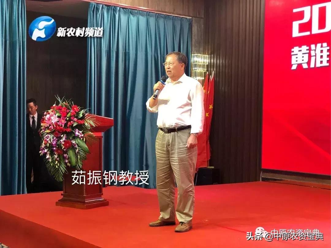 豐收論壇二肖④碼，揭秘背后的秘密與策略，揭秘豐收論壇二肖④碼背后的秘密與策略探討