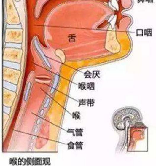 咽喉腫痛，神奇療法30秒見效！，神奇療法快速緩解咽喉腫痛，30秒見效！