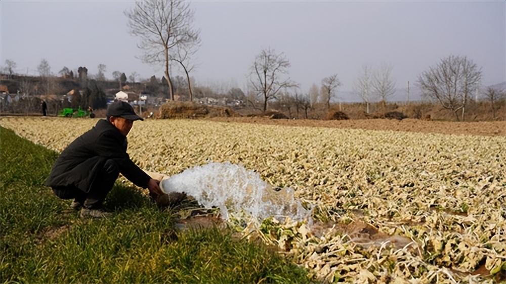 千陽(yáng)縣人力資源和社會(huì)保障局最新新聞，千陽(yáng)縣人力資源和社會(huì)保障局最新動(dòng)態(tài)報(bào)道