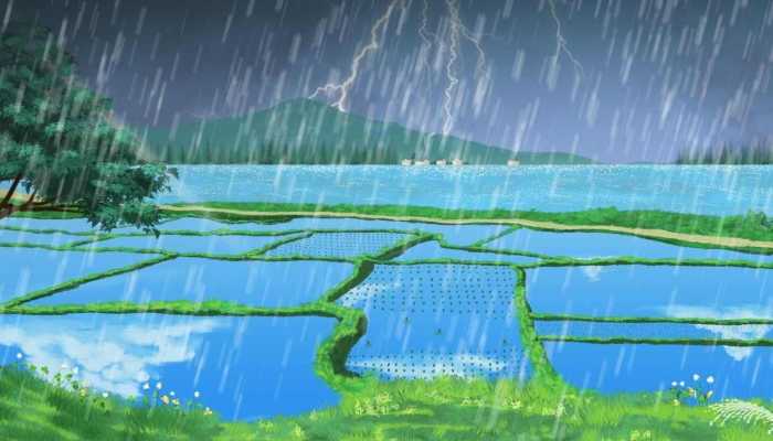 寧圍鎮(zhèn)最新天氣預(yù)報(bào)，氣象信息及生活建議，寧圍鎮(zhèn)天氣預(yù)報(bào)，氣象信息與生活建議